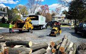 Best Seasonal Cleanup (Spring/Fall)  in Hilmar Irwin, CA