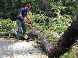 Best Lawn Mowing  in Hilmar Irwin, CA